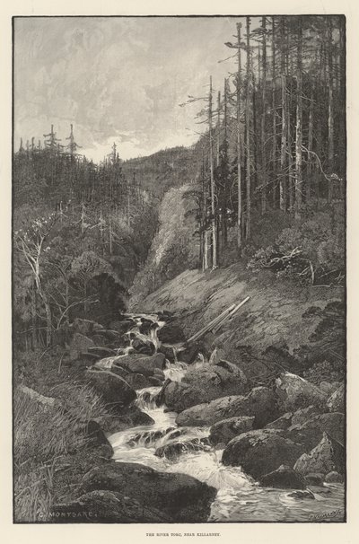 El Río Torc, cerca de Killarney de Charles Auguste Loye